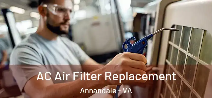  AC Air Filter Replacement Annandale - VA