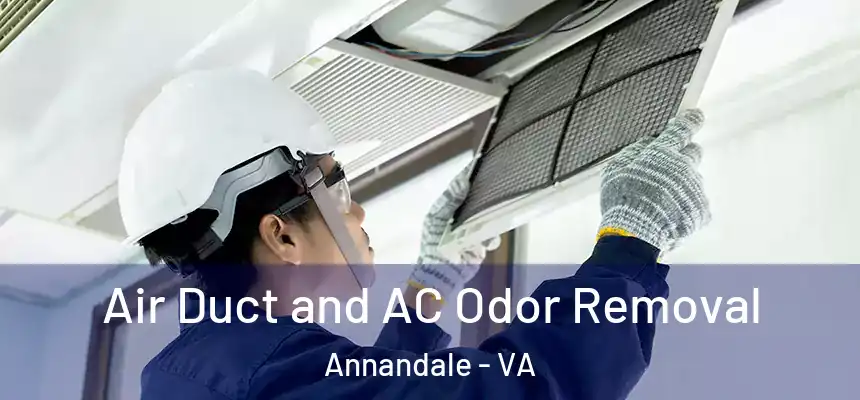Air Duct and AC Odor Removal Annandale - VA