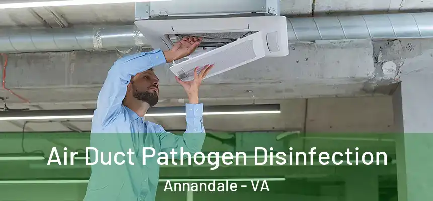  Air Duct Pathogen Disinfection Annandale - VA