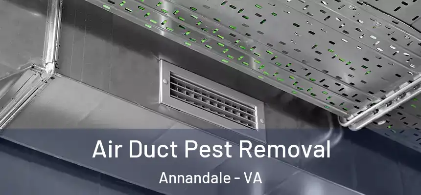  Air Duct Pest Removal Annandale - VA
