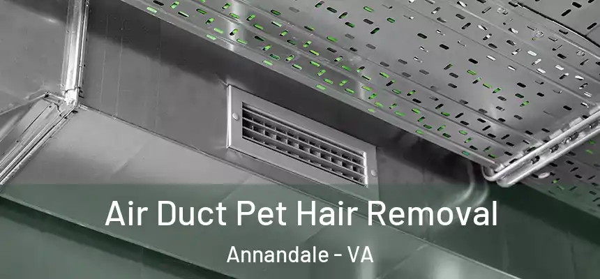  Air Duct Pet Hair Removal Annandale - VA