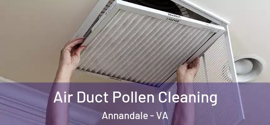  Air Duct Pollen Cleaning Annandale - VA