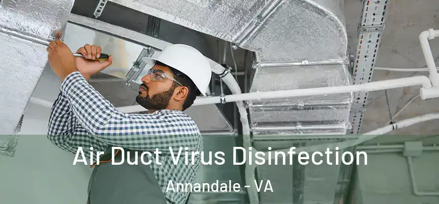 Air Duct Virus Disinfection Annandale - VA