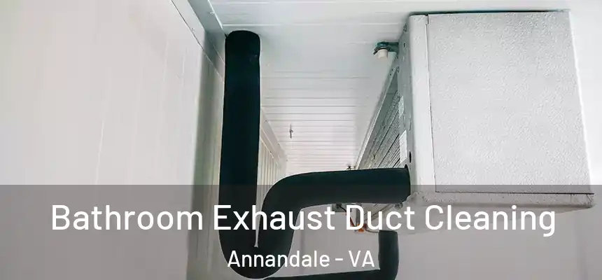  Bathroom Exhaust Duct Cleaning Annandale - VA