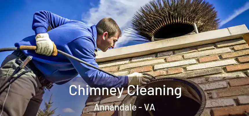  Chimney Cleaning Annandale - VA
