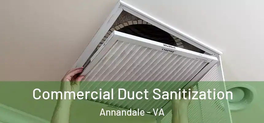 Commercial Duct Sanitization Annandale - VA