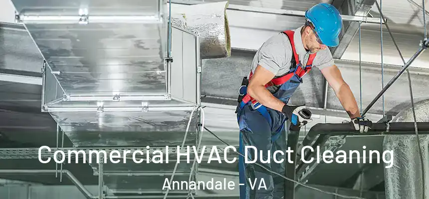 Commercial HVAC Duct Cleaning Annandale - VA