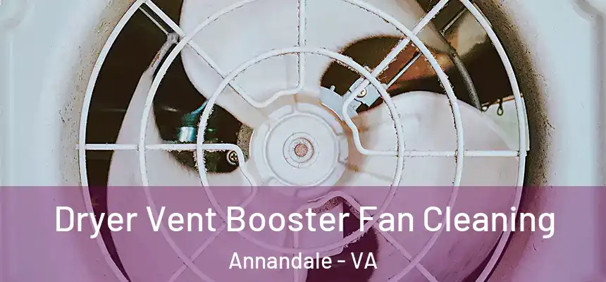 Dryer Vent Booster Fan Cleaning Annandale - VA