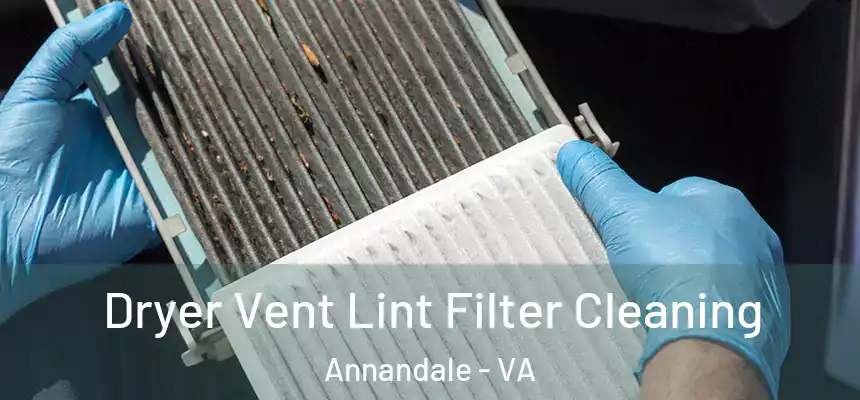 Dryer Vent Lint Filter Cleaning Annandale - VA