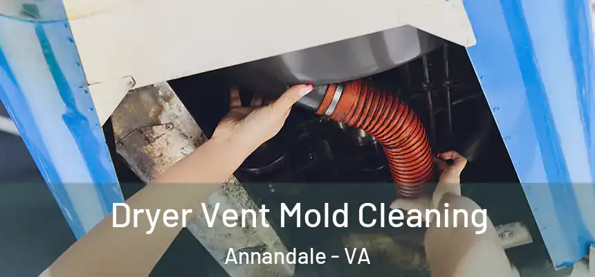  Dryer Vent Mold Cleaning Annandale - VA