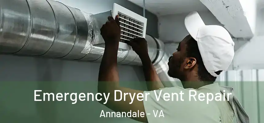 Emergency Dryer Vent Repair Annandale - VA