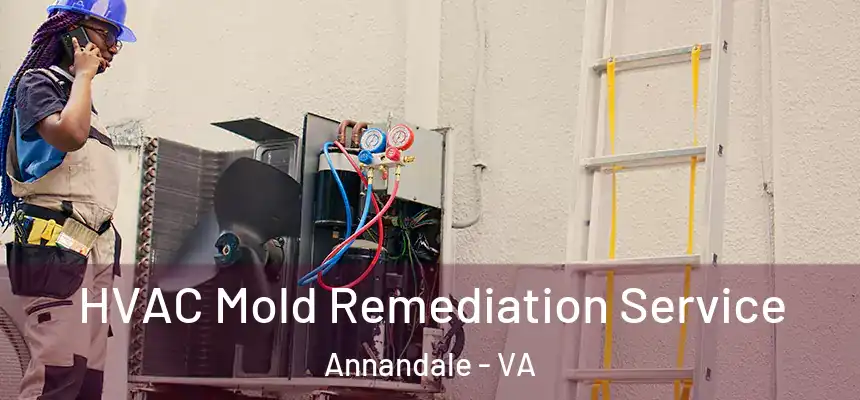 HVAC Mold Remediation Service Annandale - VA