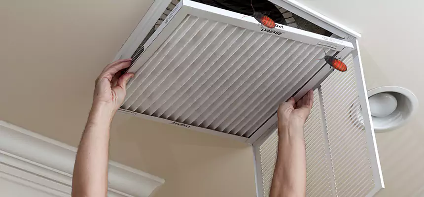 Preventive Cockroach-Proofing for Ducts in Annandale