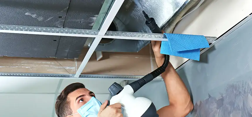 Our Air Duct Rodent Removal Services in Annandale, VA