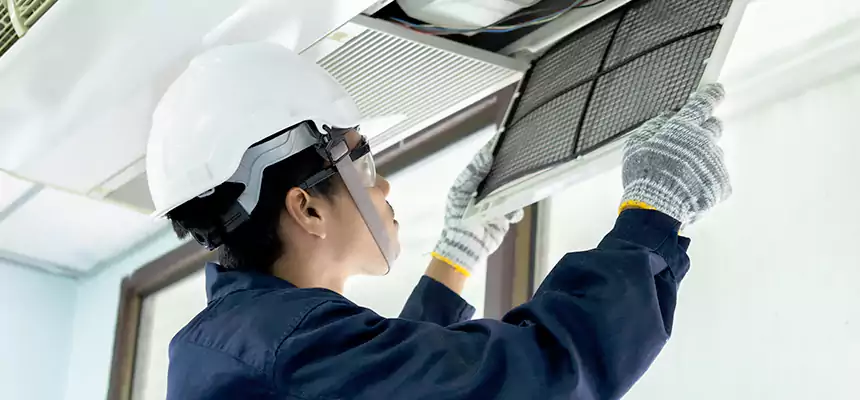 Our Mold & Mildew Removal from Air Ducts Services in Annandale, VA