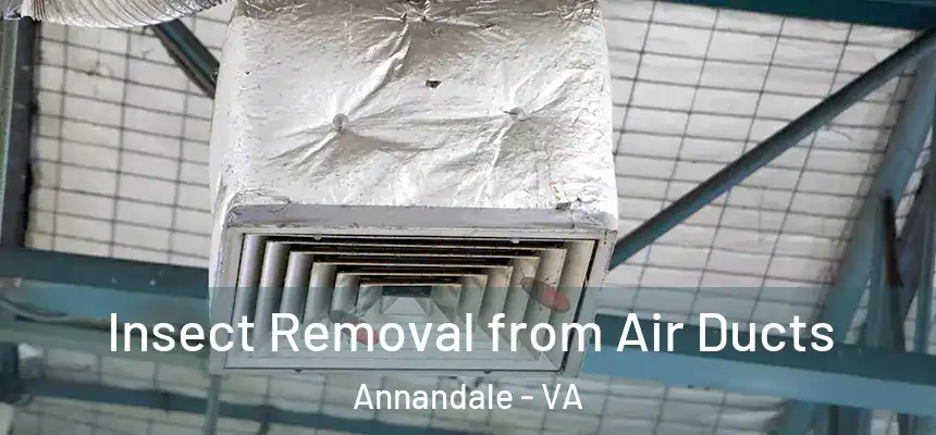  Insect Removal from Air Ducts Annandale - VA