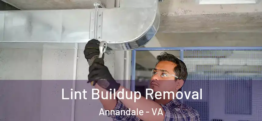 Lint Buildup Removal Annandale - VA