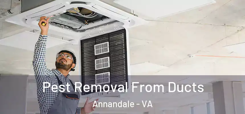  Pest Removal From Ducts Annandale - VA