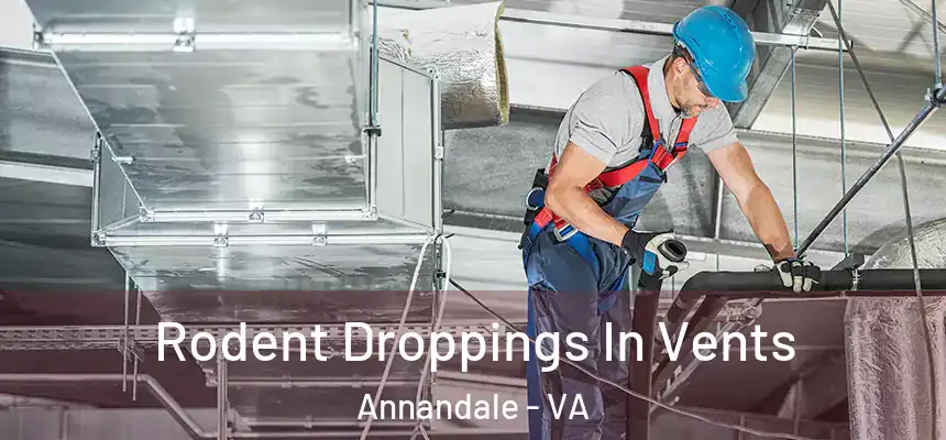 Rodent Droppings In Vents Annandale - VA