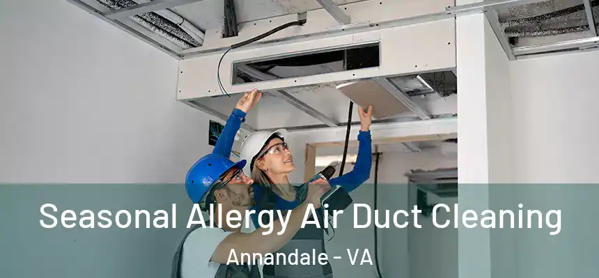  Seasonal Allergy Air Duct Cleaning Annandale - VA