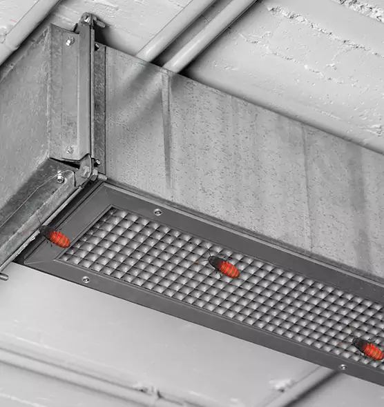 About Air Duct Cockroach Removal in Annandale, VA