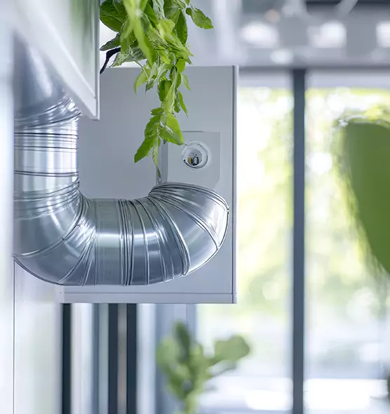 Professional Eco-Safe Dryer Vent Cleaning in Annandale, VA