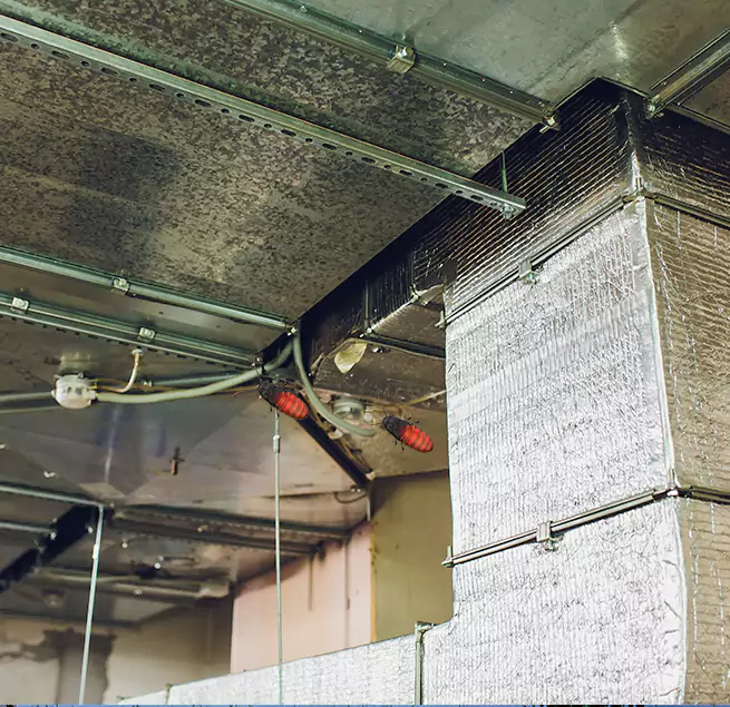 Why Homeowners & Businesses Trust Us in Annandale, VA?