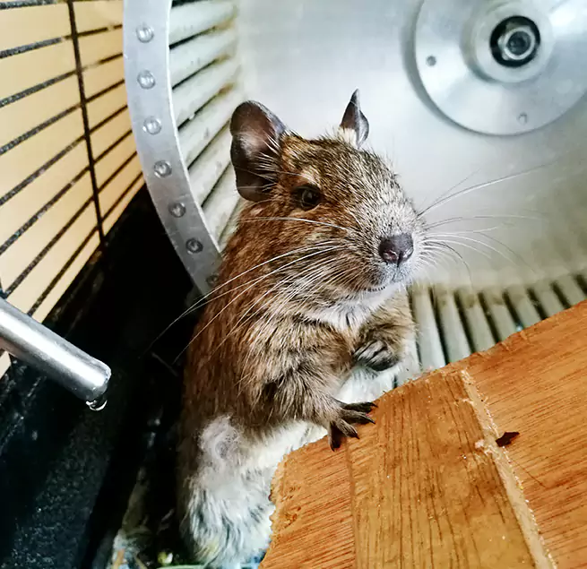 Why Homeowners & Businesses Trust Us Annandale, VA