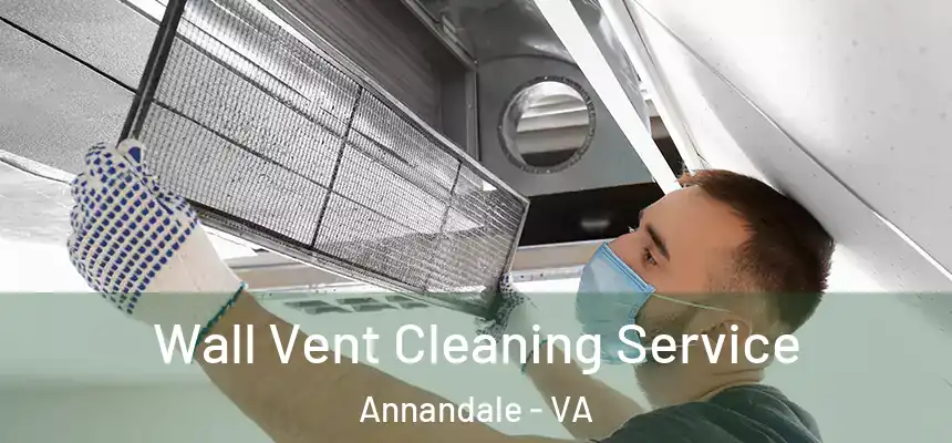 Wall Vent Cleaning Service Annandale - VA